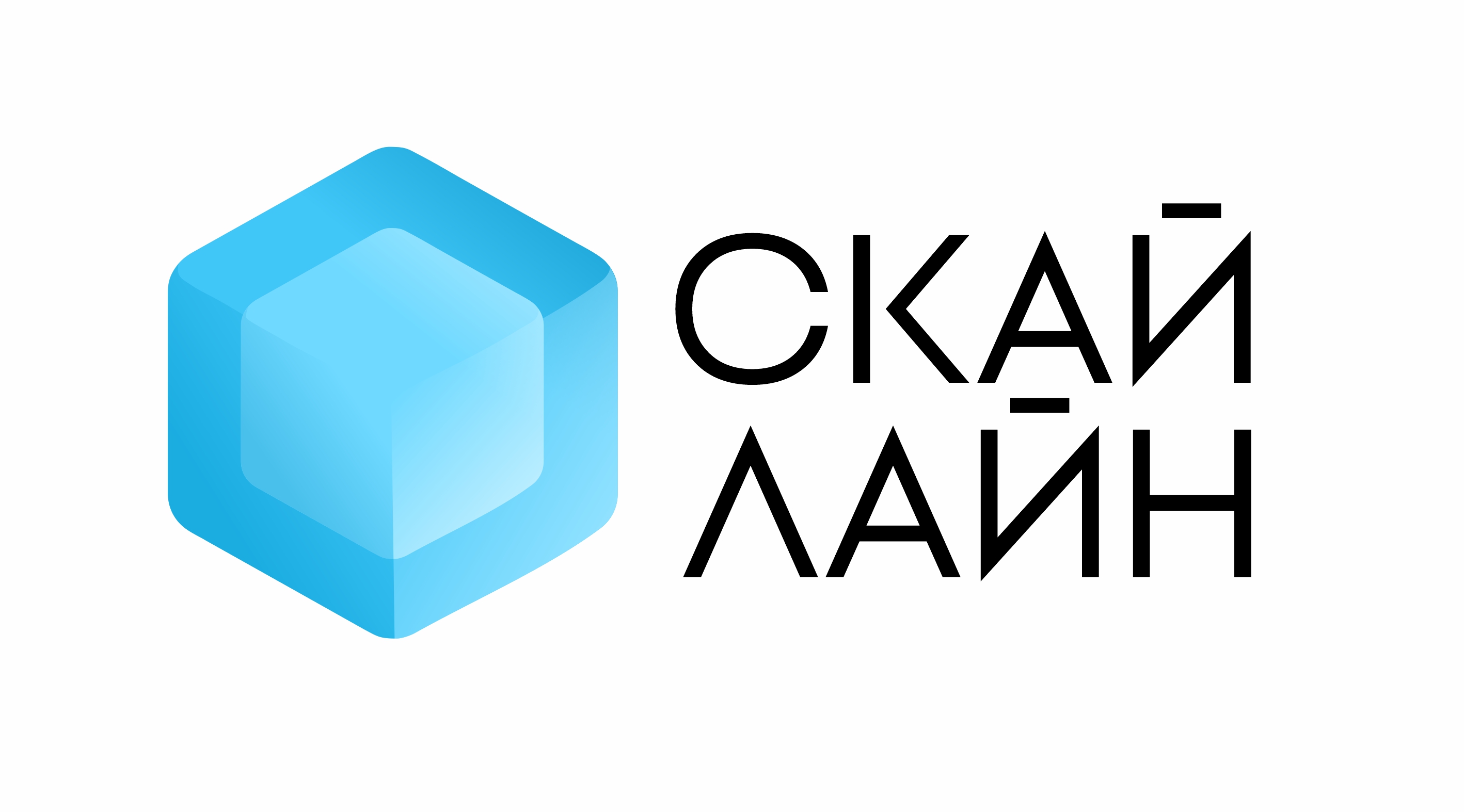 Скайлайн Logo